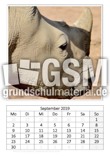 September_Nashorn.pdf